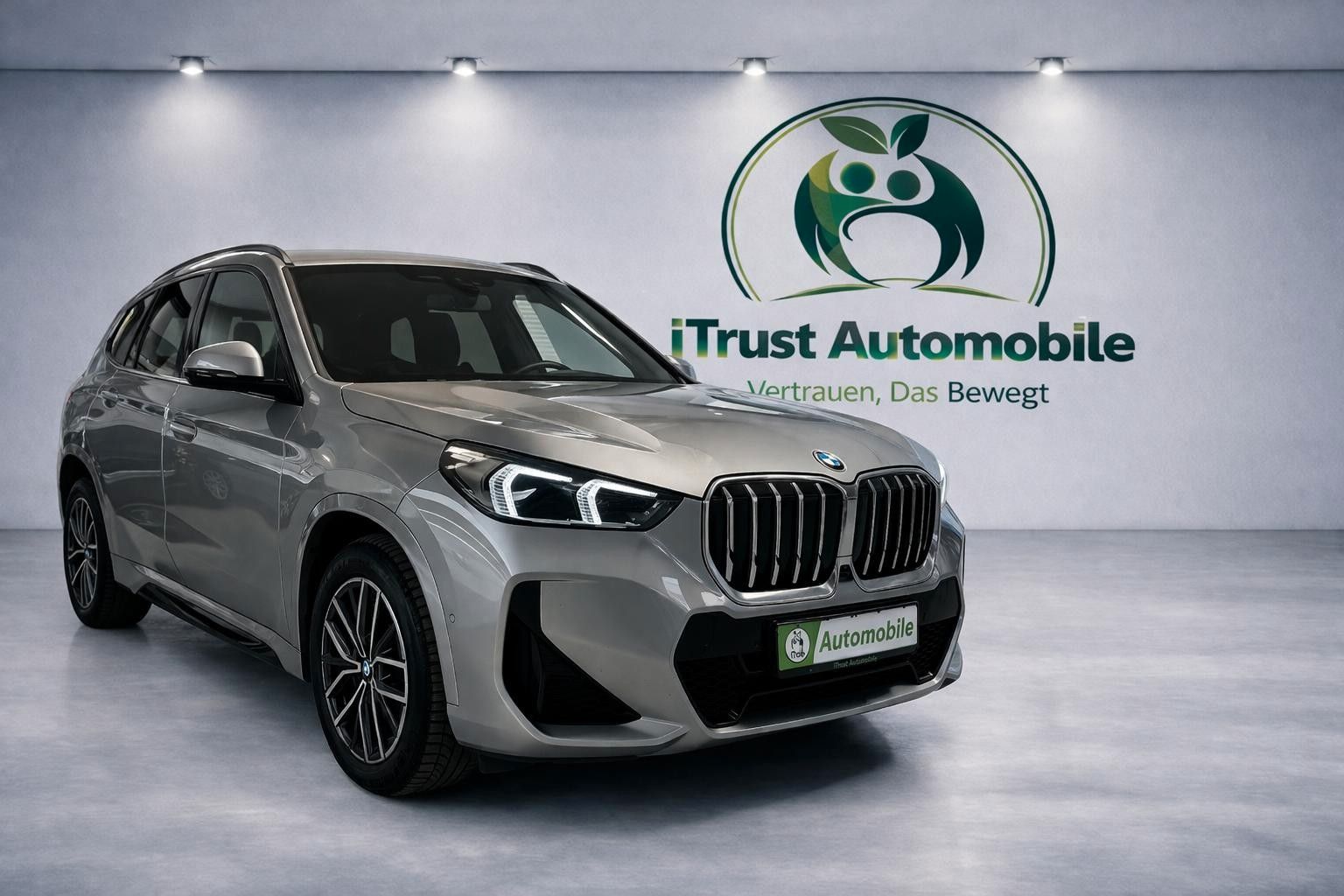 BMW X1 xDrive 23i MSport LED 360* HUD AHK LIC-CURVED
